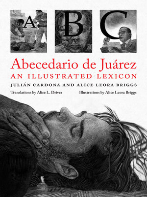 cover image of Abecedario de Juárez